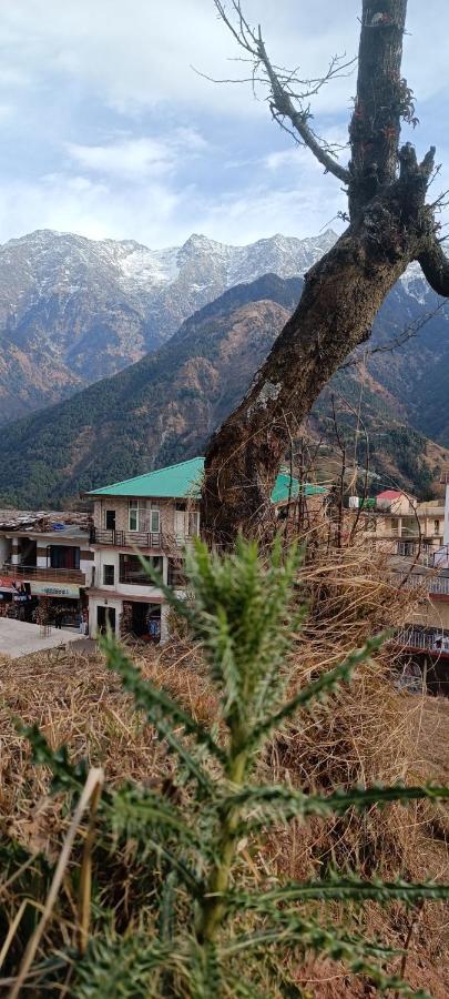 Sahaj Homestay Naddi Дармсала Екстер'єр фото